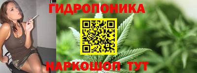 марки nbome Гусь-Хрустальный