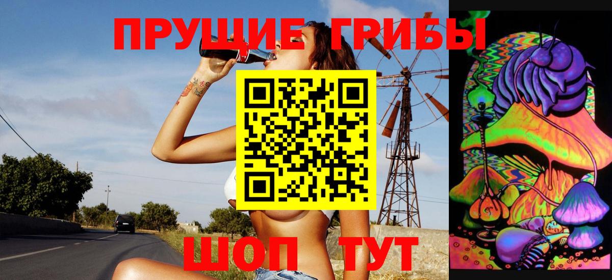 Галлюциногенные грибы прущие грибы Муром